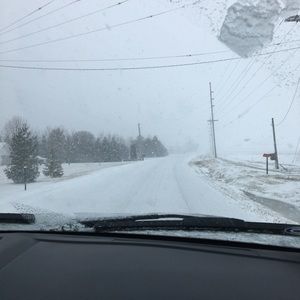 Meet your Posher, Ellen